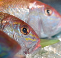 Coro Hotel - Lure Seafood Restaurant - Pubs Melbourne