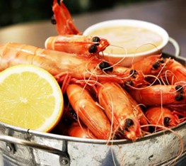 Full Moon Hotel - Moonlight Dining - Pubs Melbourne 0