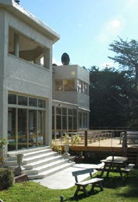 Oyster Cove Inn - Pubs Melbourne 1