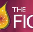 Pickled Fig - Pubs Melbourne