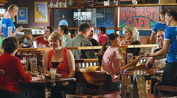 Hogs Breath - Mandurah - Pubs Melbourne 0