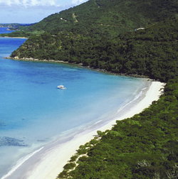 Palm Cove Tavern - Pubs Melbourne 1