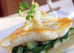 The Telegraph Hotel Geelong - Pubs Melbourne 2