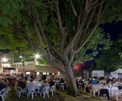 Premier Hotel - Pubs Melbourne 2