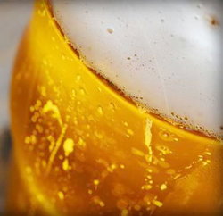 Palm Cove Tavern - Pubs Melbourne 3