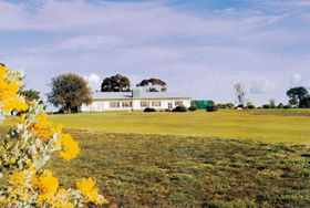 Lucindale Country Club - Pubs Melbourne 0