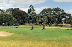 Lucindale Country Club - Pubs Melbourne 1