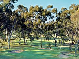 Tanunda Pines Golf Club - Pubs Melbourne 0