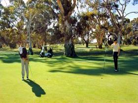 Tanunda Pines Golf Club - Pubs Melbourne 1