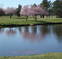 RMC Golf Club - Pubs Melbourne