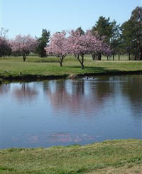 RMC Golf Club