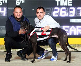 Bulli Greyhound Racing Club - Pubs Melbourne 1