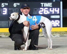 Bulli Greyhound Racing Club - Pubs Melbourne 2