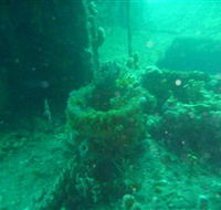 Wallaroo Scuba Club - Pubs Melbourne