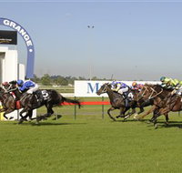 Kembla Grange Racecourse - Illawarra Turf Club - Pubs Melbourne