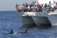 MoonshadowTQC Cruises