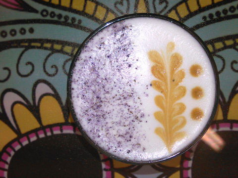 Yogolicious - Pubs Melbourne 4