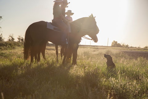 Balonne Cutting Horse Futurity - Pubs Melbourne 0