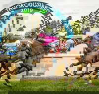 Bathurst Cup - Pubs Melbourne