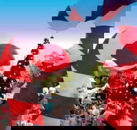 Blacktown Christmas Light Up Concert - Pubs Melbourne