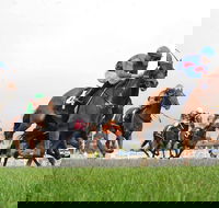 Christmas Cup Race Day - Pubs Melbourne