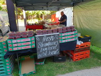 Clare Show Market