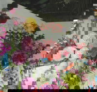 Dalgety Show - Pubs Melbourne