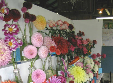 Dalgety Show - Pubs Melbourne 0