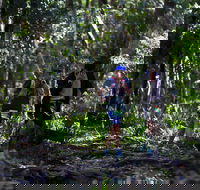 Elephant Trail Race - Pubs Melbourne