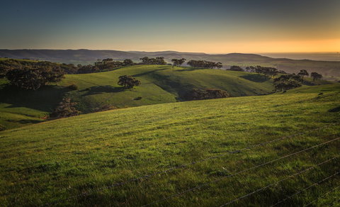 Festival Of Nature - Pubs Melbourne 1