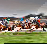 Grafton July Racing Carnival - Pubs Melbourne