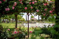 Griffith Spring Fest