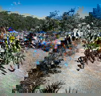 JetBlack Wild Wombat MTB Challenge - Pubs Melbourne