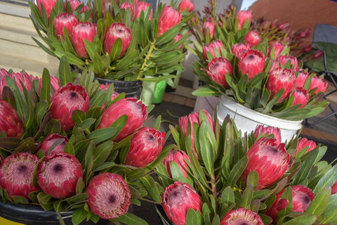 Junee Rotary Farmers Markets - Pubs Melbourne 0