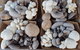 Lawrence Farmers And Community Markets - thumb 2