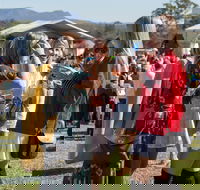 Lovedale Long Lunch - Pubs Melbourne