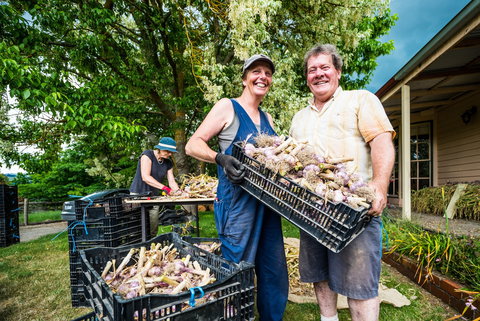 Meeniyan Garlic Festival - Pubs Melbourne 2