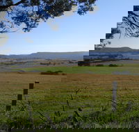 Milton Village Showground Markets - Pubs Melbourne