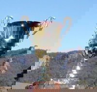 Nimbin Poetry World Cup - Pubs Melbourne