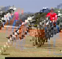 Pride of the West Races 2020 - Pubs Melbourne