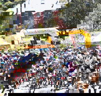 Snowies MTB Festival - Pubs Melbourne
