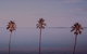 Sunset Streaming Live DJ Streams - thumb 0