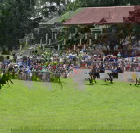 Tumut Derby Day - Pubs Melbourne