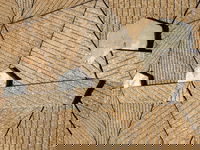 WA Now  Tom Mller Monolith Scores - Virtual Exhibition