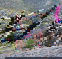 Wonderland Run - Pubs Melbourne