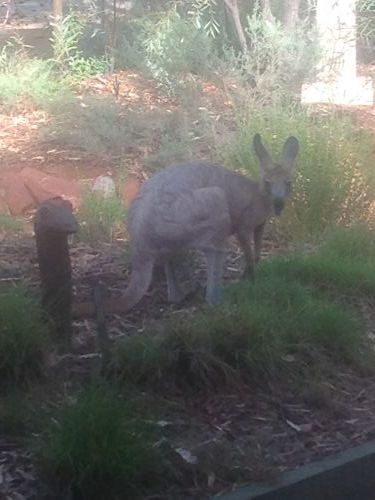 Queensland Winter Craft Festival - Pubs Melbourne 4