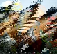 Albury Racing Club Boxing Day Races - Pubs Melbourne