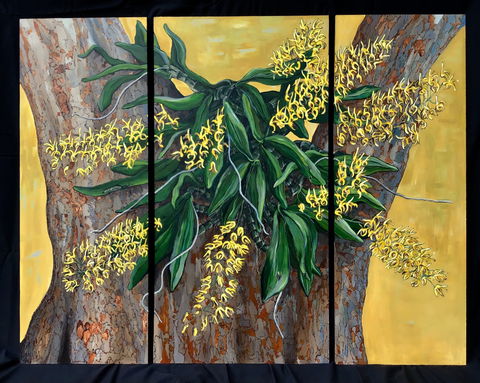 A Still Life - Solo Exhibition  Karen Sedaitis - Pubs Melbourne 1