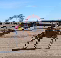 Bedourie Camel and Pig Races and Camp oven Cook-off - Pubs Melbourne