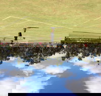 Charlton Lawn Tennis Club Annual Tournament - Pubs Melbourne